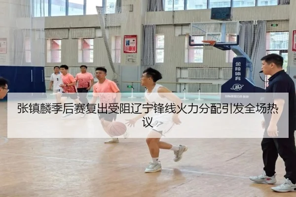 张镇麟季后赛复出受阻辽宁锋线火力分配引发全场热议